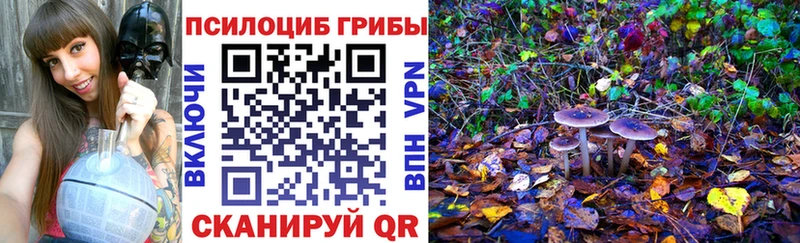 Галлюциногенные грибы Psilocybe  Сим 